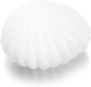 AKOAK 1 Pack Shell Jewelry Box, for Earrings, Necklaces, Bracelets, Jewelry Display Gift Box Holder (White)