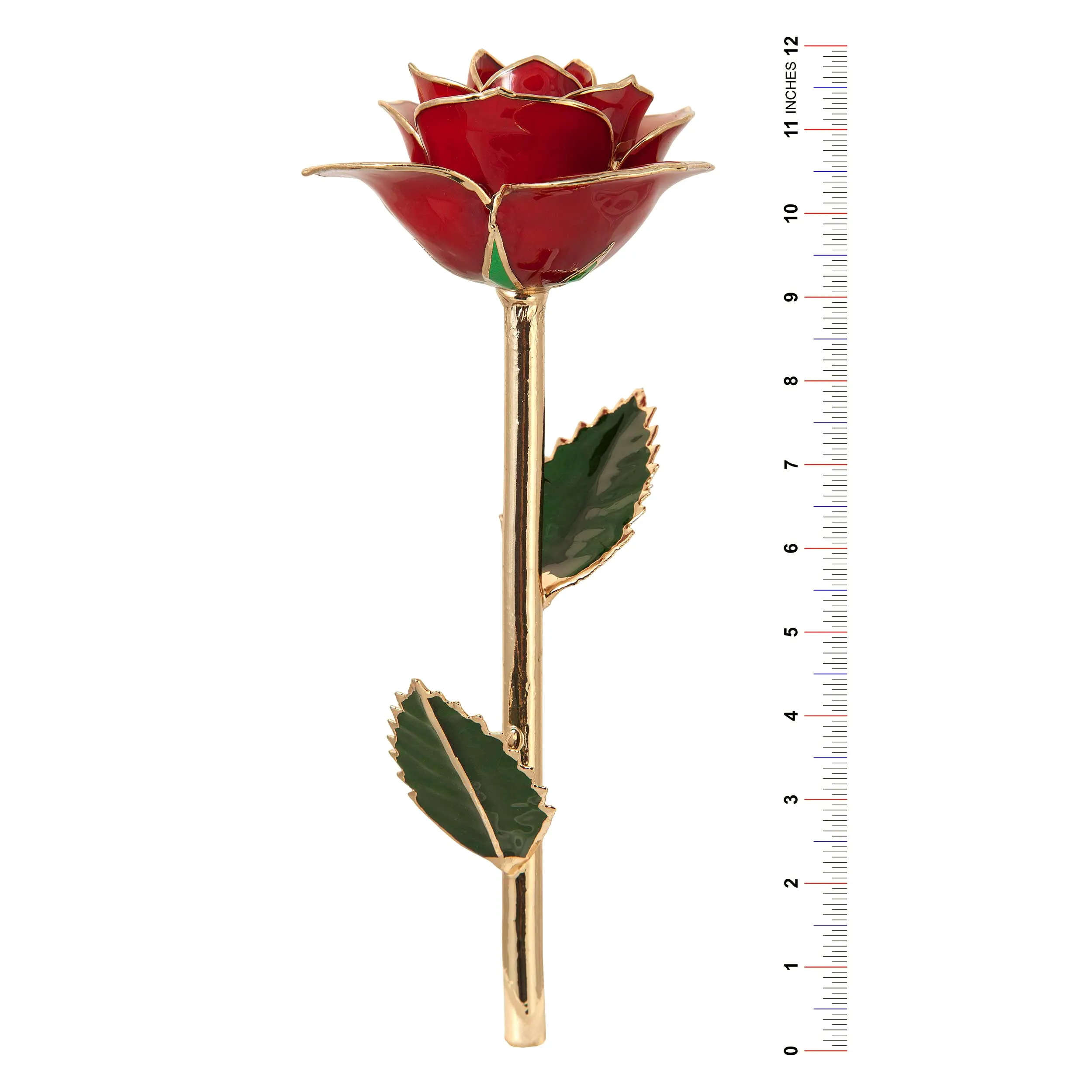 Luscious Pink 24K Gold Dipped Rose